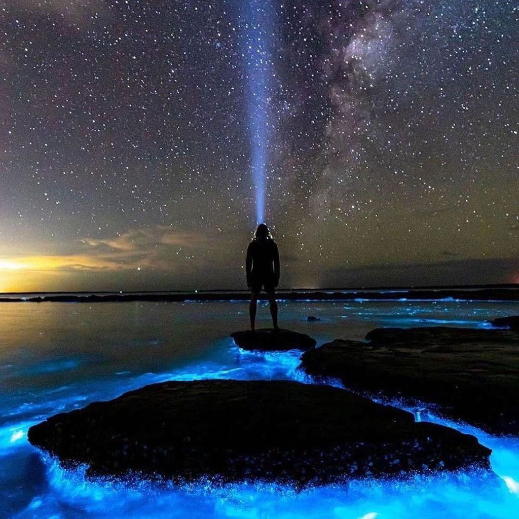 Vịnh biển Jervis ở Australia có thể phát sáng về đêm