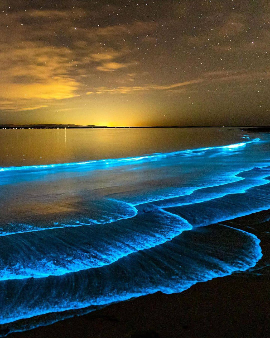 Vịnh biển Jervis ở Australia với khả năng có thể phát sáng vào ban đêm