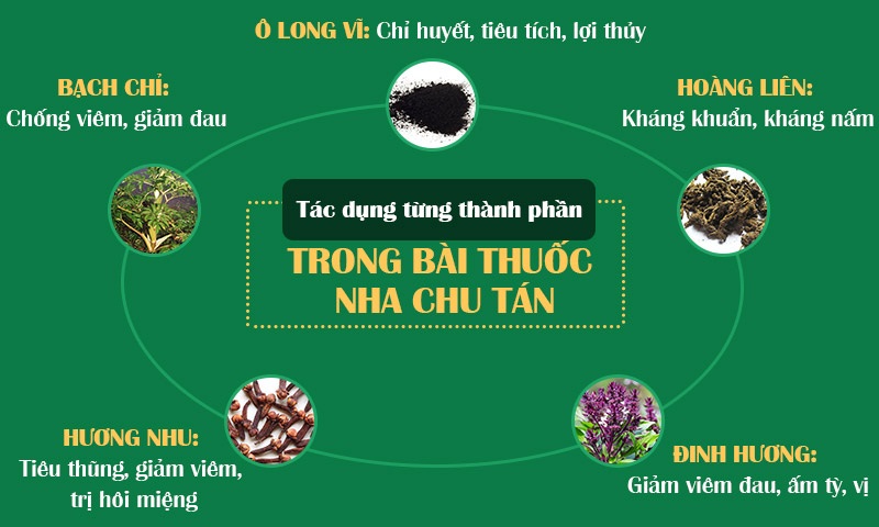 Bài thuốc Đông y Nha chu tán điều trị các bệnh về răng miệng