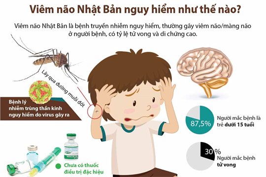 Các biến chứng bệnh viêm não Nhật Bản